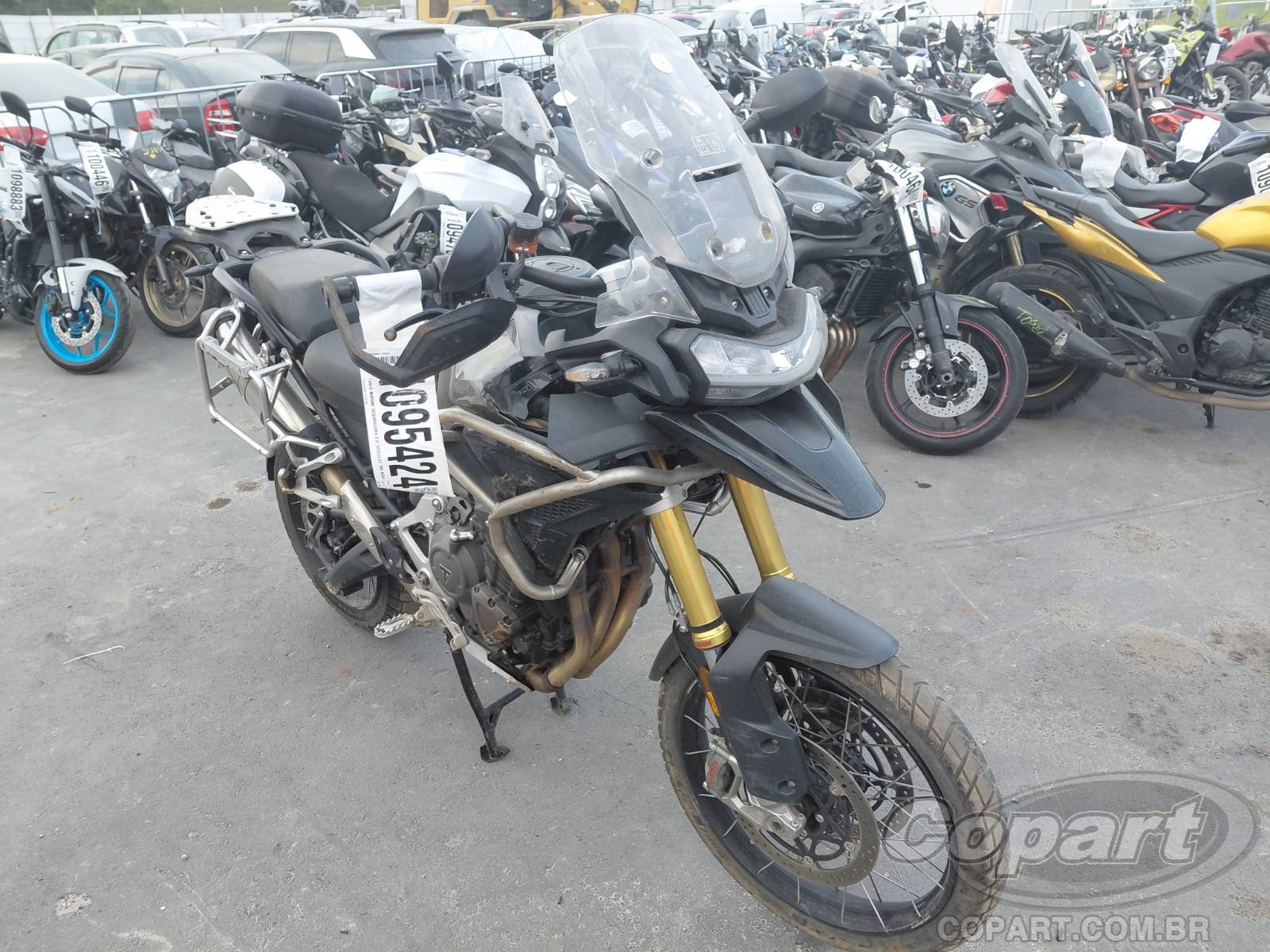 TRIUMPH TIGER 2024 - 1200 Black Edition