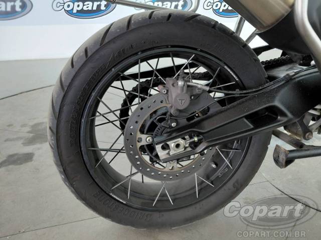 2025 TRIUMPH TIGER 