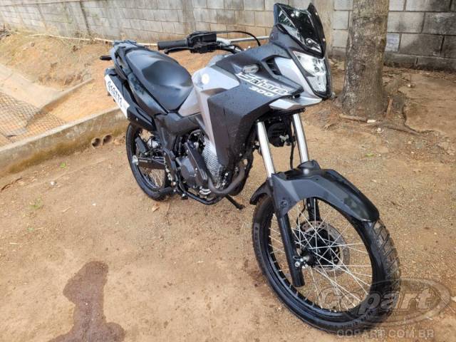 2024 HONDA XRE SAHARA 300 