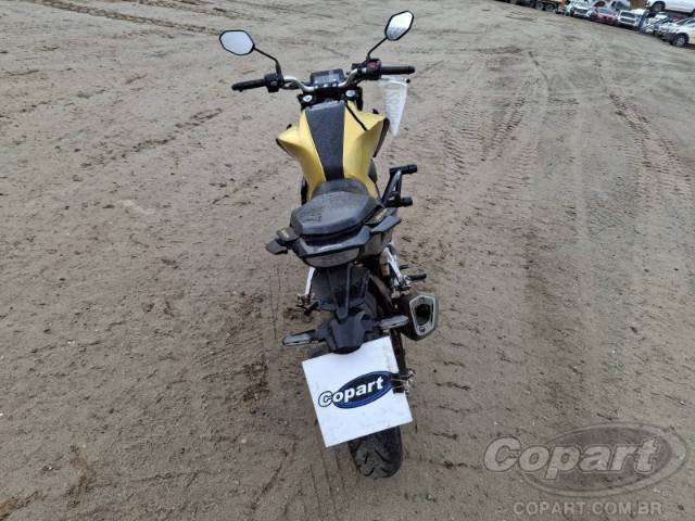 2023 HONDA CB 300F 