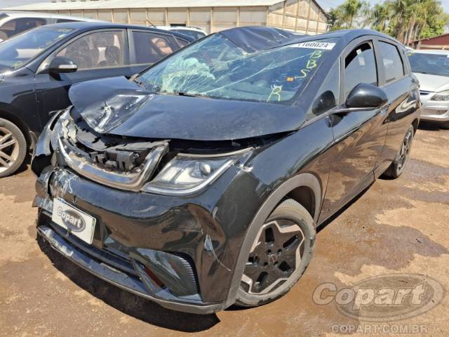 2025 BYD DOLPHIN 
