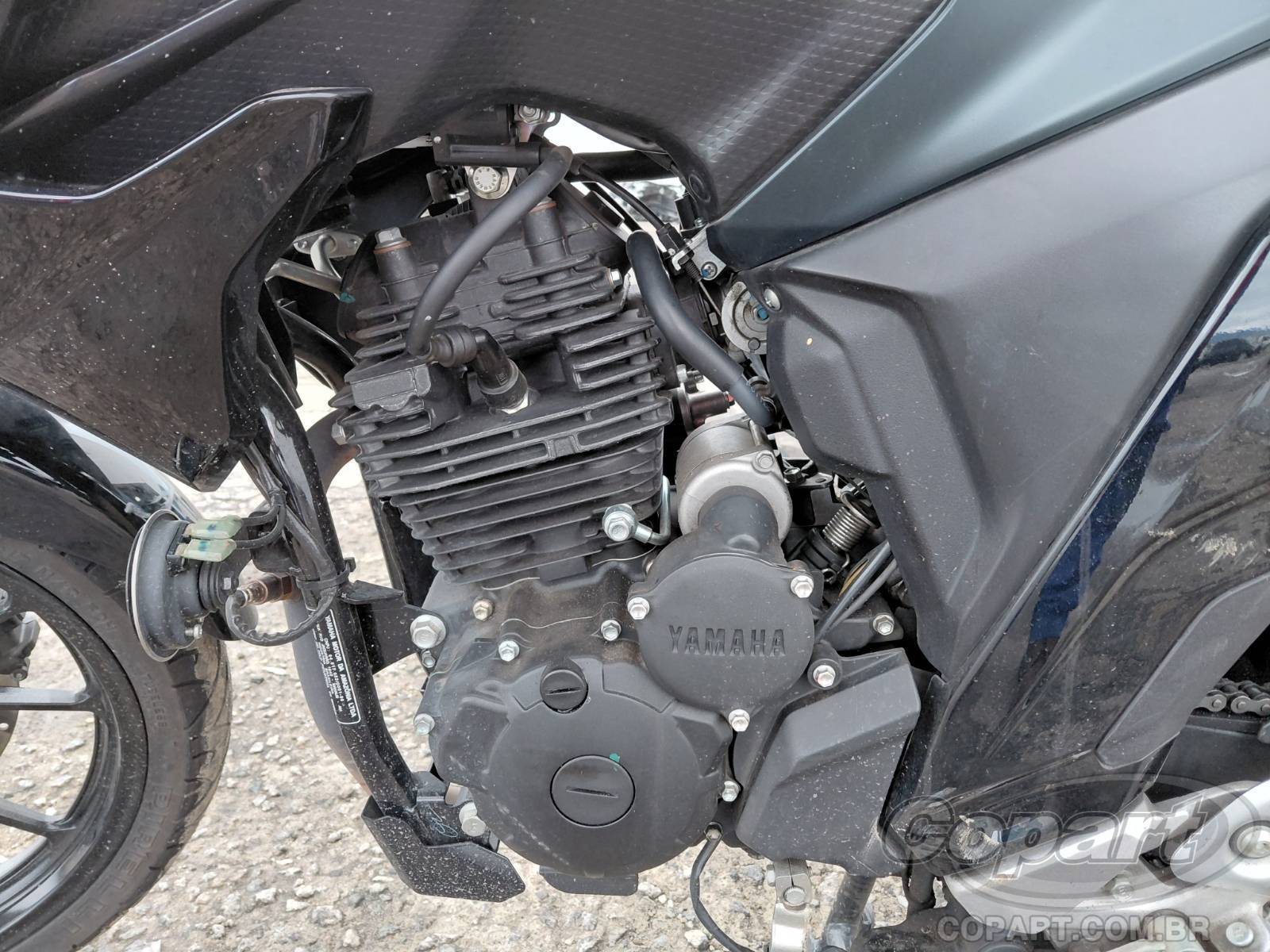 Foto 6 de 11: 2024 YAMAHA FZ25 FAZER