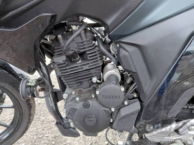 2024 YAMAHA FZ25 FAZER 