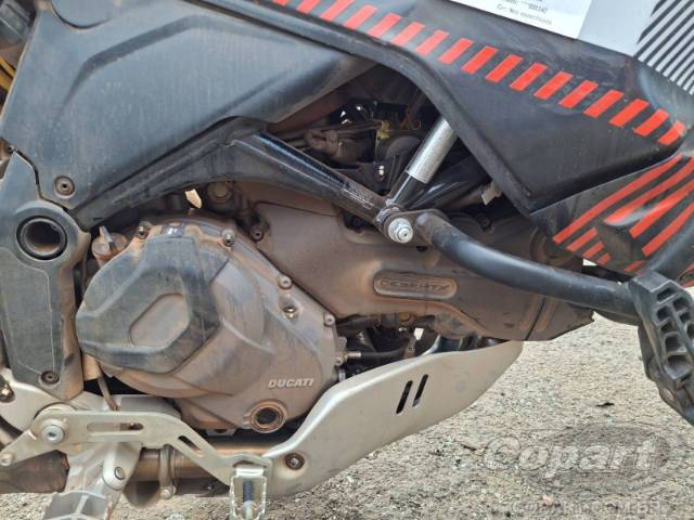 2024 DUCATI DESERTX 