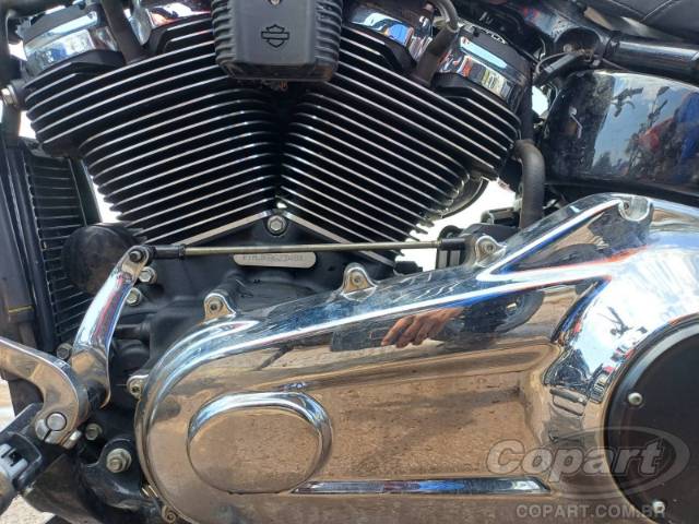 2019 HARLEY-DAVIDSON SOFTAIL 
