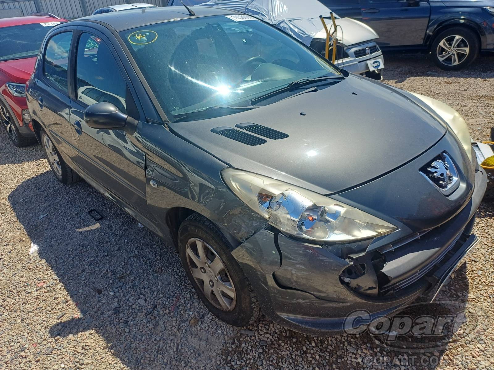 Peugeot 207 2011 1.4 Flex