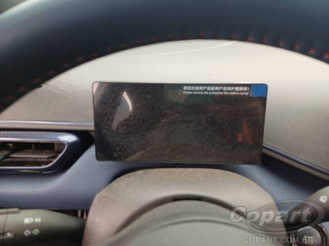 2025 BYD DOLPHIN MINI 