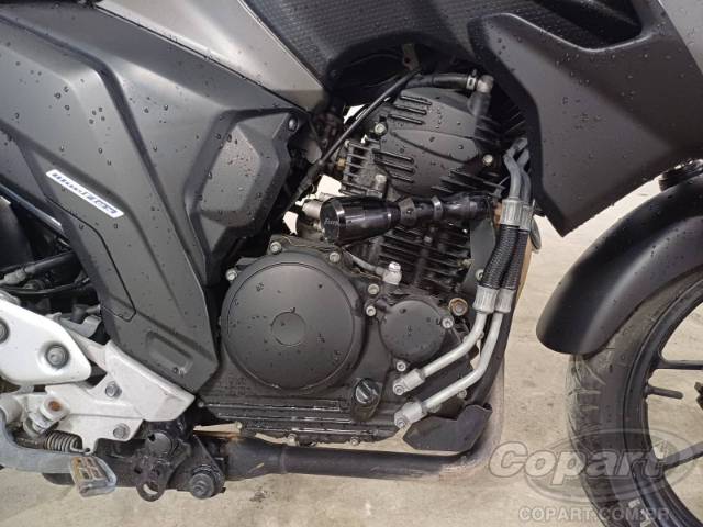 2024 YAMAHA FZ25 FAZER 