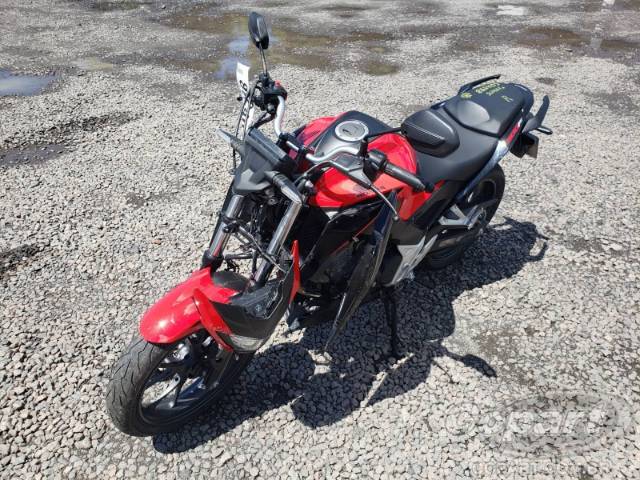 2024 HONDA CB 300F 
