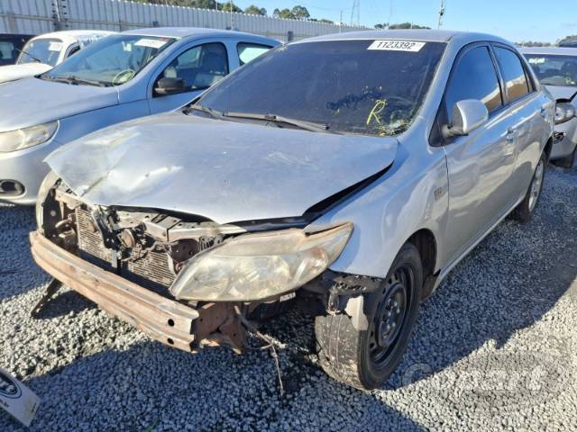 2010 TOYOTA COROLLA 
