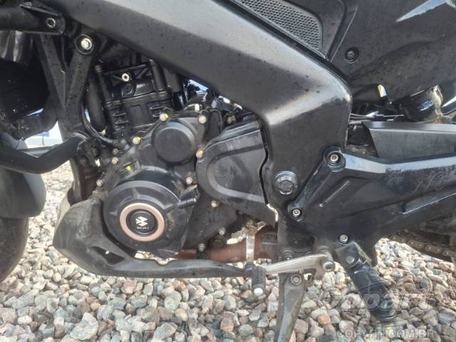 2025 BAJAJ DOMINAR 