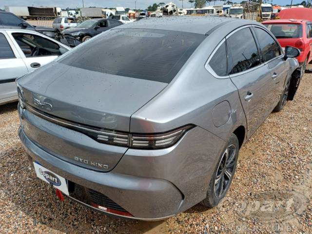 2025 BYD KING 