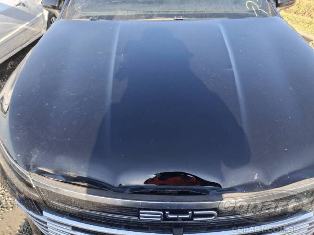 2025 BYD KING 