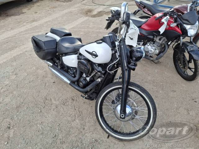 2020 HARLEY-DAVIDSON SOFTAIL 