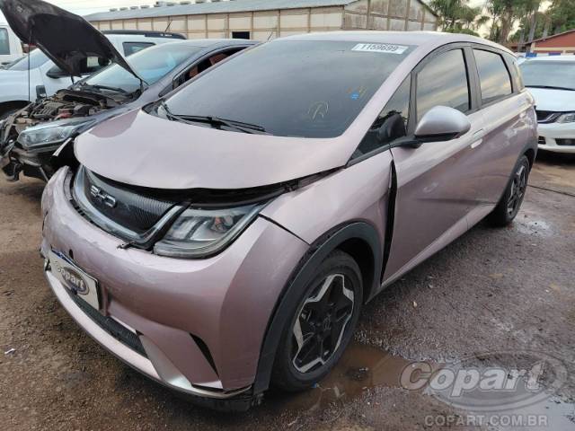 2024 BYD DOLPHIN 