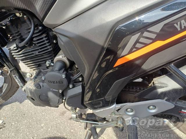 2025 YAMAHA FZ25 FAZER 