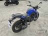 2025 YAMAHA FZ25 FAZER 