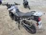 2024 TRIUMPH TIGER 