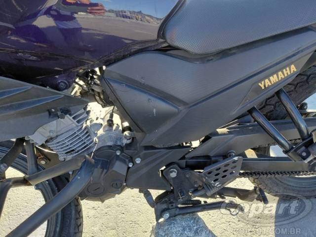 2025 YAMAHA FAZER 