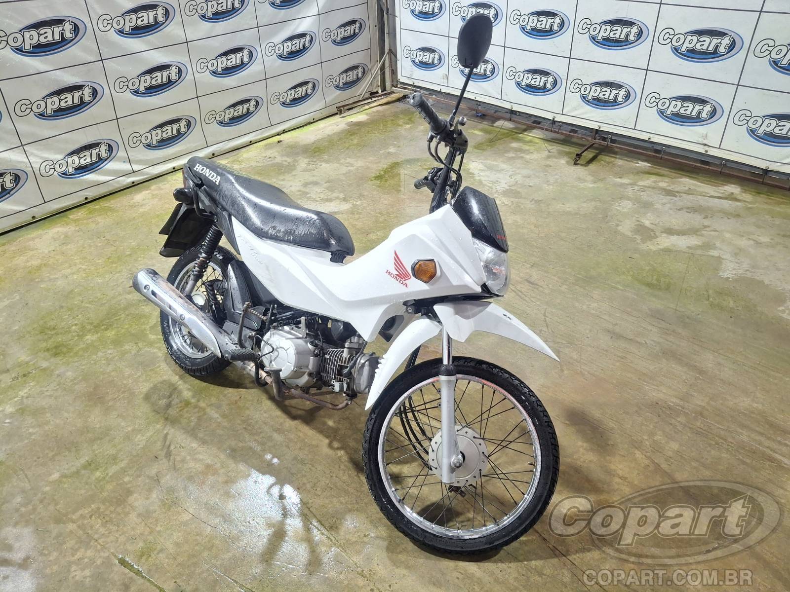 HONDA POP 2022