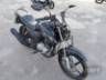 2025 YAMAHA FACTOR 