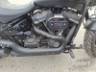 2019 HARLEY-DAVIDSON SOFTAIL 