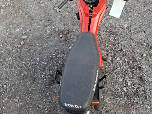 2026 HONDA POP 