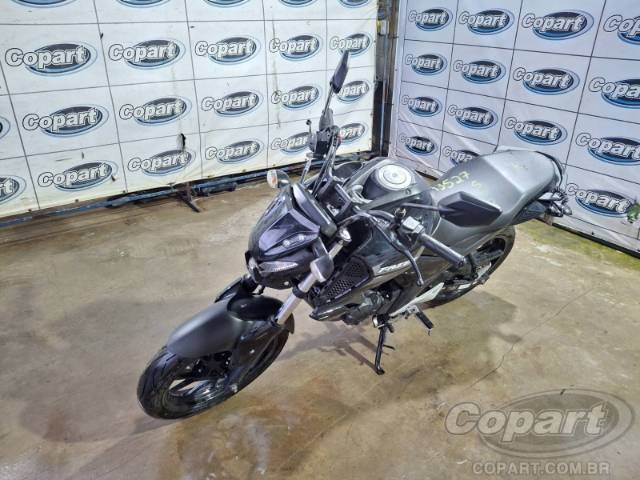 2024 YAMAHA FZ15 