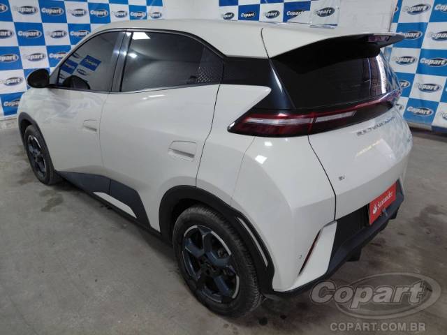 2025 BYD DOLPHIN MINI 