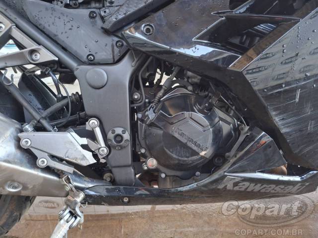 2023 KAWASAKI NINJA 300 