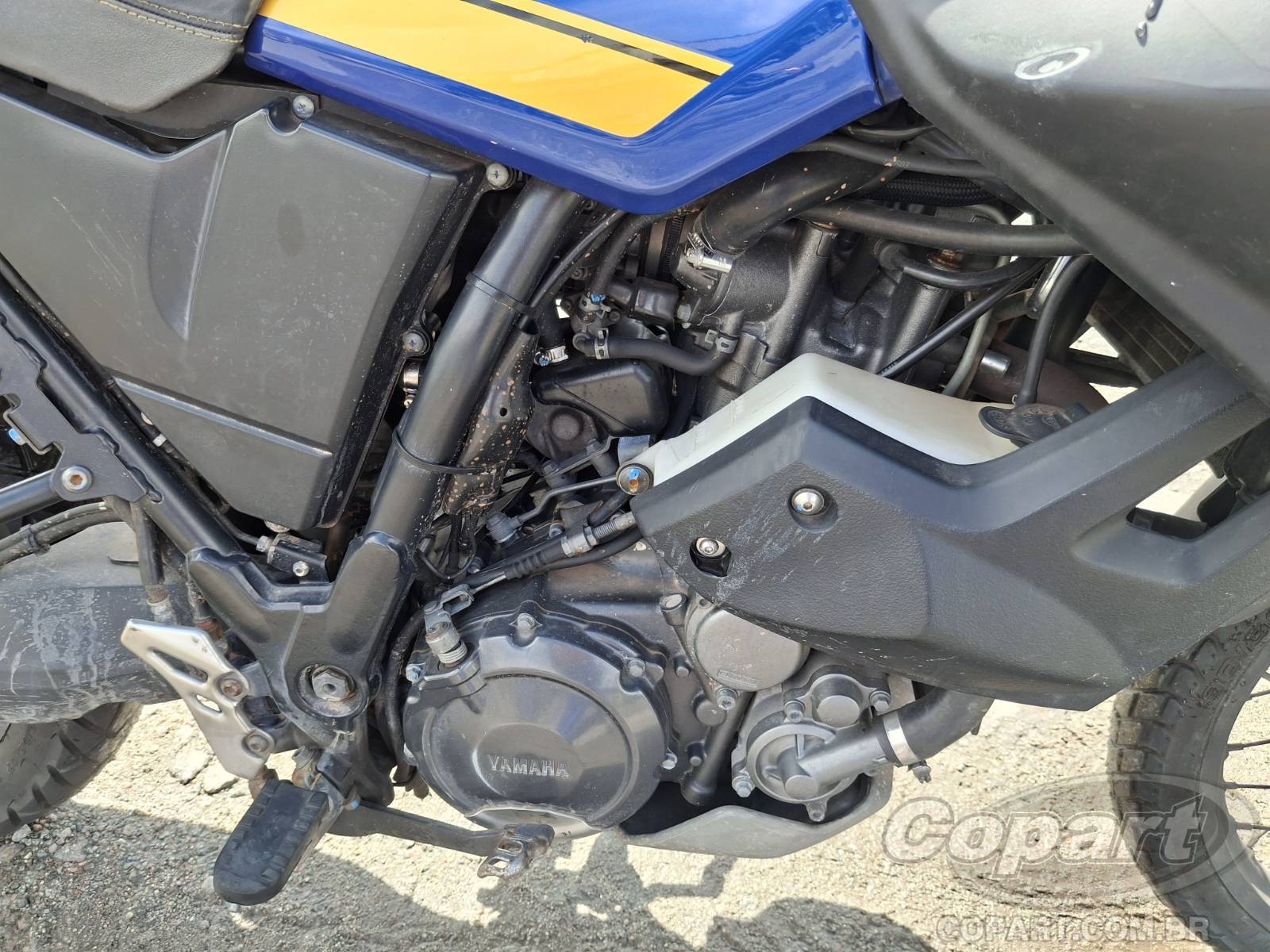 Foto 5: 2015 YAMAHA XT 660Z