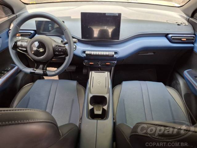 2026 BYD DOLPHIN MINI 