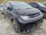 2024 BYD DOLPHIN 