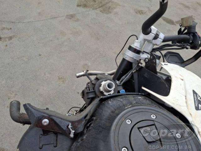 2026 TRIUMPH TIGER 