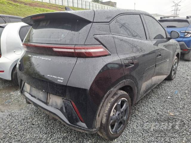 2025 BYD DOLPHIN MINI 