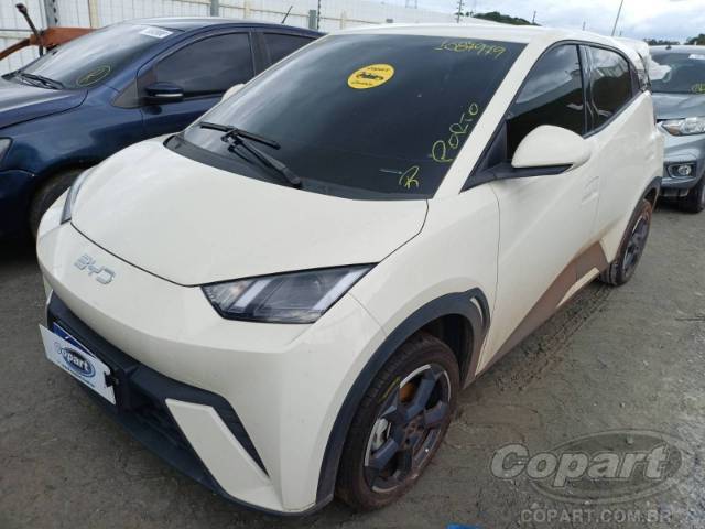 2025 BYD DOLPHIN MINI 