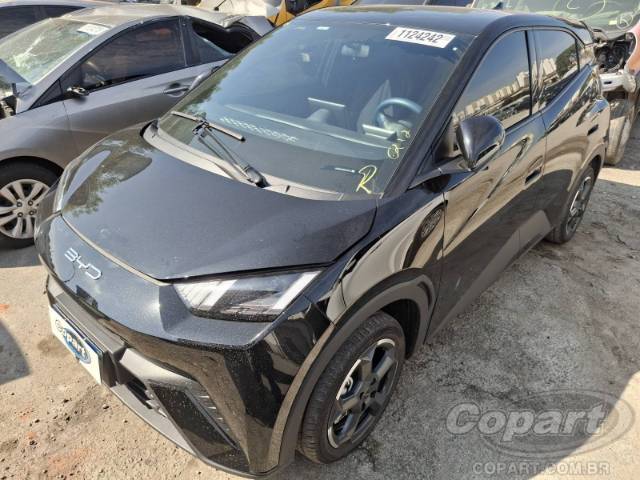 2025 BYD DOLPHIN MINI 