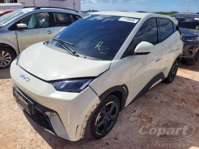 2025 BYD DOLPHIN MINI 