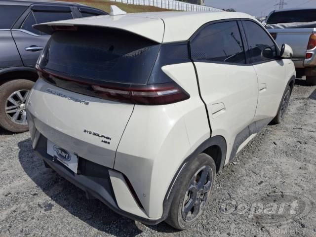 2025 BYD DOLPHIN MINI 