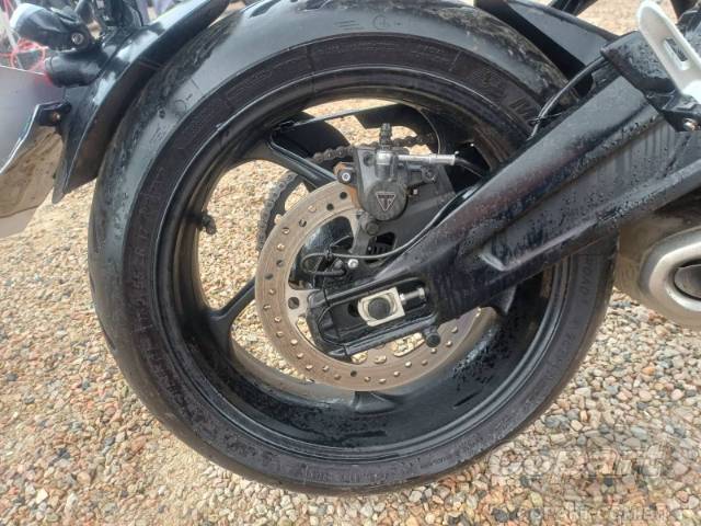2026 TRIUMPH TRIDENT 