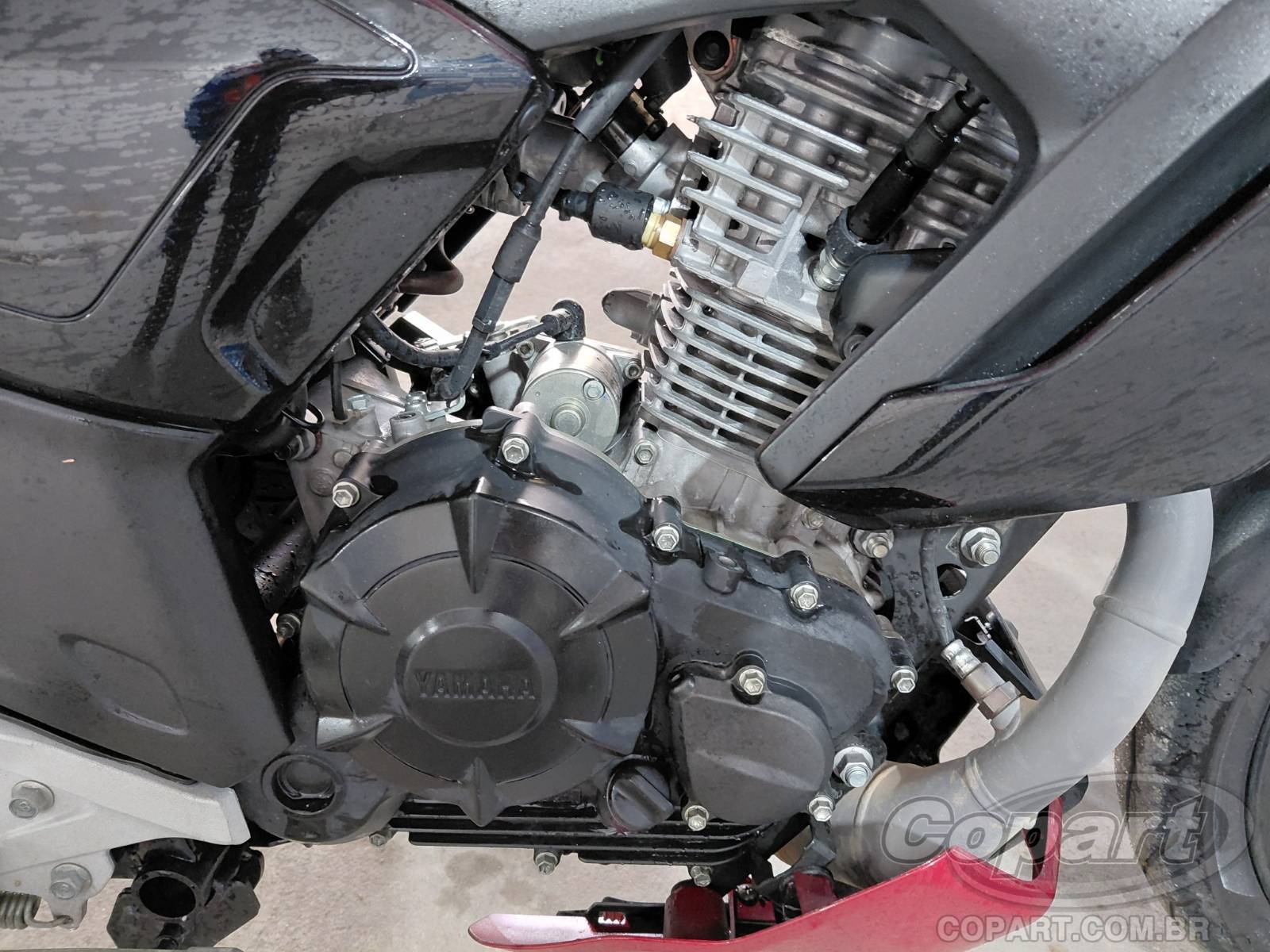 Foto 5: 2025 YAMAHA FZ15