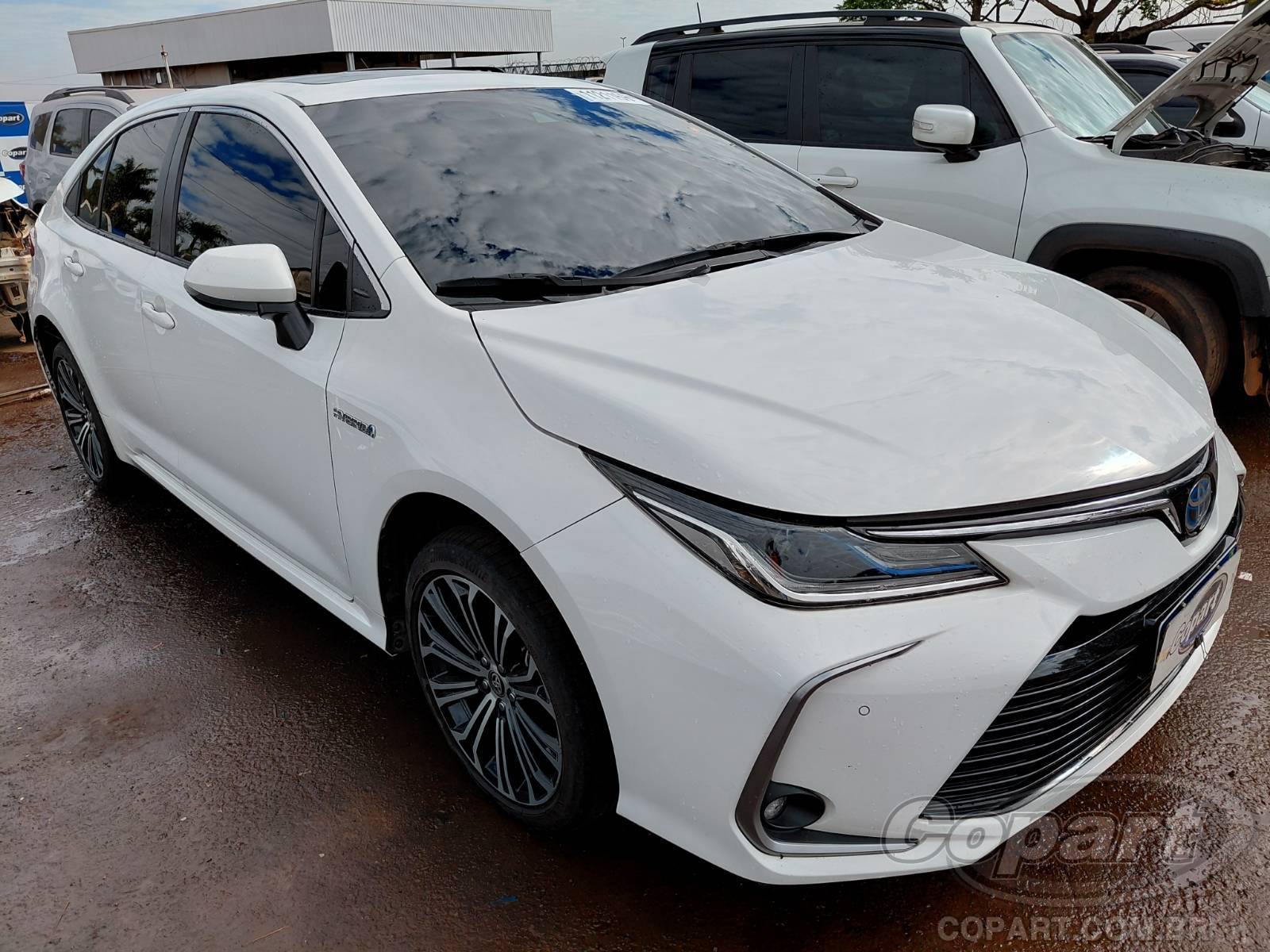 Veículo Toyota Corolla Toyota Corolla 2023 Híbrido 2023 em leilão