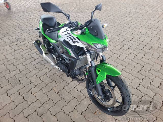 2025 KAWASAKI Z500 