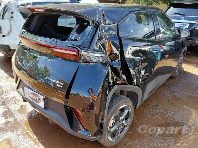 2025 BYD DOLPHIN MINI 