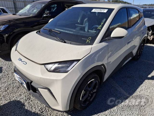2025 BYD DOLPHIN MINI 