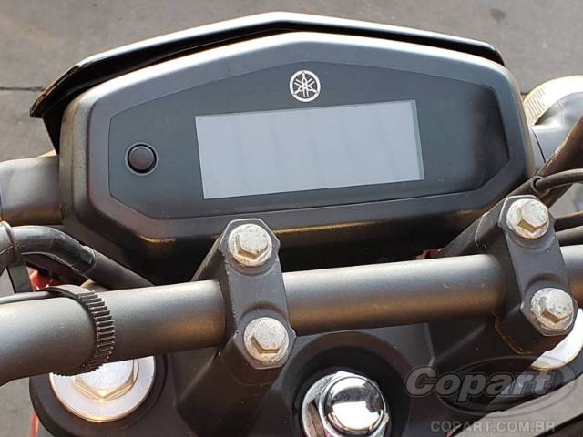 2024 YAMAHA FZ15 
