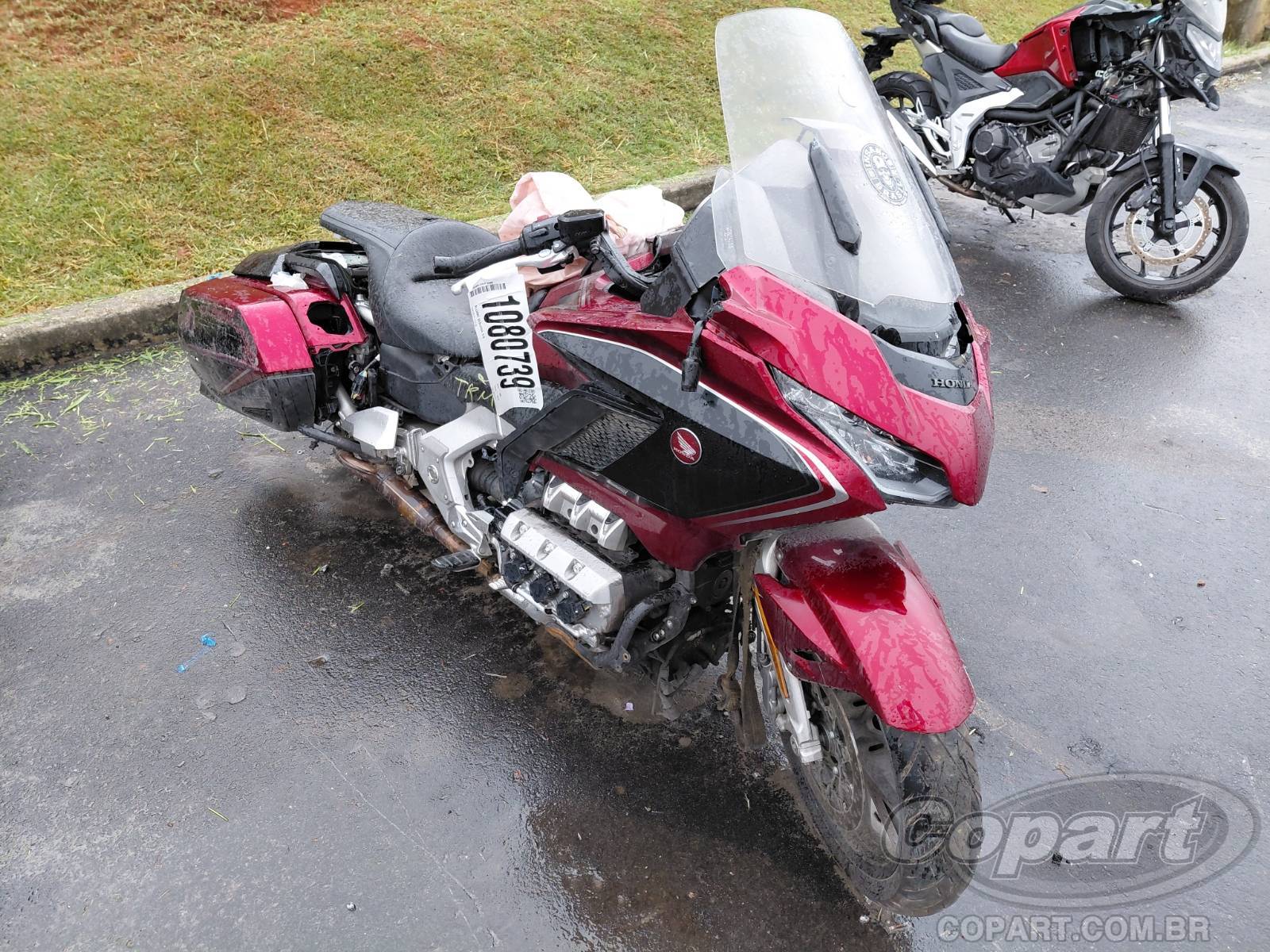 GOLD WING