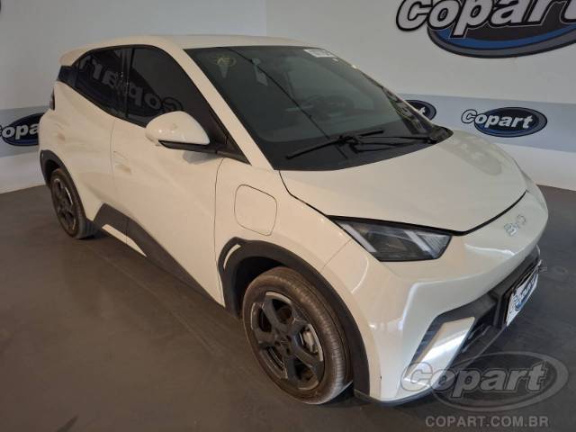 2025 BYD DOLPHIN MINI 