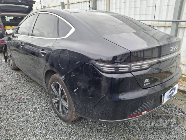 2025 BYD KING 