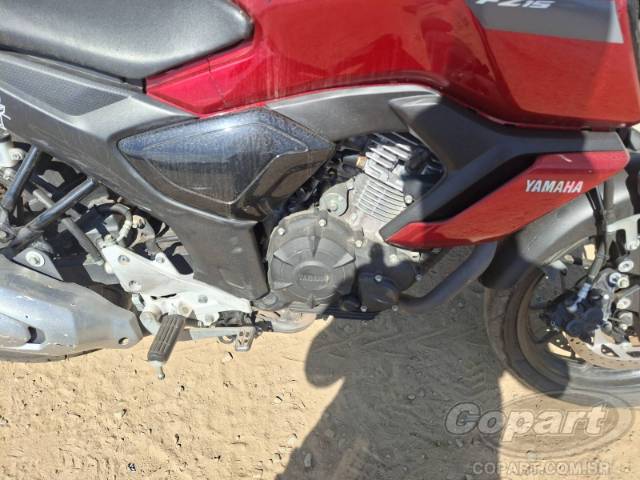 2024 YAMAHA FZ15 